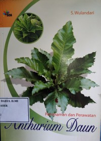 Image of Penanaman dan perawatan anthurium daun