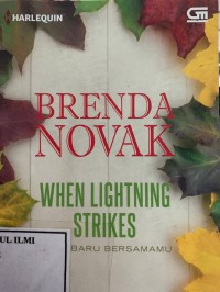Image of When lightning strikes Awal baru bersamamu